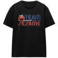 T-shirt Sesame Street TV27723 Grenoble