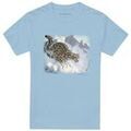 Tee-shirts sur Grenoble : T-shirt Wildlife TV28644