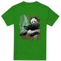Tee-shirts sur Grenoble : T-shirt Wildlife Citizen Of Heaven On Earth