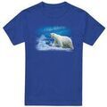Tee-shirts sur Grenoble : T-shirt Wildlife TV28702