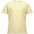 Tee-shirts sur Grenoble : T-shirt Comfort Colors RW11081