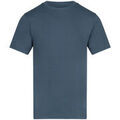 Tee-shirts sur Grenoble : T-shirt Awdis AT002