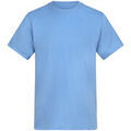 Tee-shirts sur Grenoble : T-shirt Awdis AT002