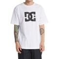 T-shirt DC Shoes DC Star