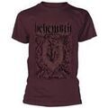 Tee-shirts sur Grenoble : T-shirt Behemoth Furor Divinus