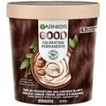 Sant&eacute; / beaut&eacute; sur Grenoble : Colorations Garnier 4.15