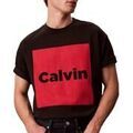 Tee-shirts sur Grenoble : T-shirt Calvin Klein Jeans LV04RD813G