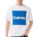 Tee-shirts sur Grenoble : T-shirt Calvin Klein Jeans LV04RD813G