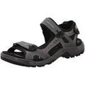 Randonn&eacute;e sur Grenoble : Chaussures Ecco - Gris