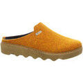 Chaussons / Pantoufles sur Grenoble : Chaussons Rohde -