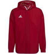 Blouson adidas -