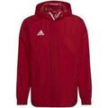 Blouson adidas - Grenoble