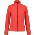 Pull sur Grenoble : Pull Icepeak -