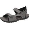 Chaussures Geox - Gris