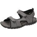 Randonn&eacute;e sur Grenoble : Chaussures Geox - Gris