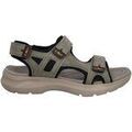 Randonn&eacute;e sur Grenoble : Chaussures Cmp - Vert