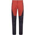 Short Cmp -