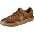 Ville basse Camel Active -