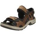 Chaussures Ecco - Marron