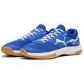 Audio sur Grenoble : Chaussures Puma -