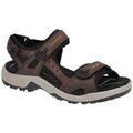 Randonn&eacute;e sur Grenoble : Chaussures Ecco - Marron