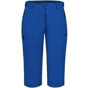 Pantalon Icepeak -