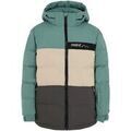 Vestes sur Grenoble : Blouson Protest -