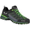 Audio sur Grenoble : Chaussures Salewa -