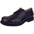 Ville basse Anatomic & Co -