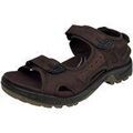 Randonn&eacute;e sur Grenoble : Chaussures Ecco - Marron