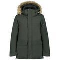 Vestes sur Grenoble : Blouson Icepeak -