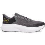 Chaussures Under Armour -