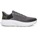 Running sur Grenoble : Chaussures Under Armour -