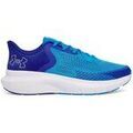 Chaussures Under Armour -