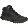 Baskets montantes Ecco -