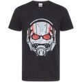 Tee-shirts sur Grenoble : T-shirt Marvel NS4591
