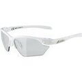 Lunettes sur Grenoble : Lunettes de soleil Alpina -
