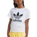 Tee-shirts enfants sur Grenoble : T-shirt enfant adidas Trefoil