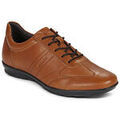 Baskets homme sur Grenoble : Baskets basses Geox UOMO SYMBOL