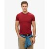T-shirt Superdry T-shirt logo essentiel en coton biologique
