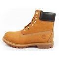 Chaussures Timberland 6 Marron