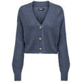 Gilets sur Grenoble : Gilet Only 186678VTAH25