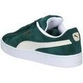 Baskets homme sur Grenoble : Baskets basses Puma -