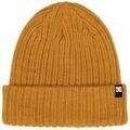 Bonnets sur Grenoble : Bonnet DC Shoes Fish N Destroy 2