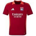 Tee-shirts sur Grenoble : T-shirt adidas OLYMPIQUE LYONNAIS 24-25