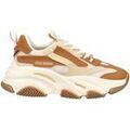 Baskets femme sur Grenoble : Baskets basses Steve Madden Sneaker