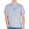 T-shirt Calvin Klein Jeans 30s Micro