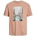 Tee-shirts sur Grenoble : T-shirt Jack & Jones 12254030