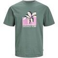 Tee-shirts sur Grenoble : T-shirt Jack & Jones 12252173