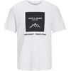 T-shirt Jack & Jones 12258128